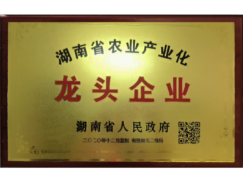 岳陽市漁之源食品有限公司,岳港漁都,洞庭魚港,散稱系列,田螺系列,臭豆腐加工，香豆腐加工，烤脖加工，魚仔,鴨排加工、雞丁加工代加工